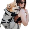 Galatée Dog Carrier Backpack, Portable Adjustable Dog Backpack, Ventilated Pet Carrier Backpack, Pet Backpack for Hiking, Outdoors, Hiking, Mountaineering, Travel (XL, Grey)