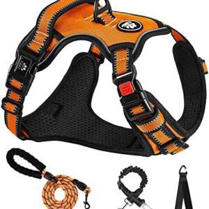NESTROAD No Pull Dog Harness,Adjustable Oxford Dog Vest Harness with Leash,Reflective and Easy Control Soft Handle,Easy Walk for Small Dogs(Small,Orange)