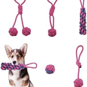 Diaryan Toy, Pack of 5 Cotton Dog Ropes Set, Intelligence Development, Suitable for Small Dogs/Medium Various Dog Balls, Puppy Toy, Dental Care, Made of Natural Cotton, Dia-2, Rose Red