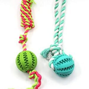 SONGWAY Interactive Dog Toy Ball with String - Puppy Toy Ball Set, Chew Toy for Dogs, Slingshot Ball for Dogs, Throwing Ball for Dogs with Rope, Pull and Tug Toy Dog