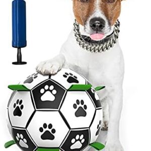 Dog Toy Ball, Interactive Pet Toy, Water Toy, Floating Ball, Dog Football Intelligence Toy, Dog Football for Medium and Small Dogs Pets
