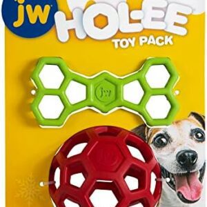 JW HOL-ee Holiday for Dogs, Treat Ball Dog Toy Throw Toy & Pull Toy - 2 Pack