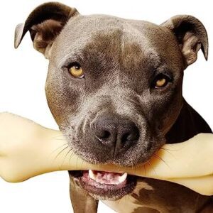 Nylabone Power Chew Extreme Chewing Big Chew Durable Toy Bone for Large Breeds, Monster Bone