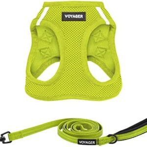 Best Pet Supplies Voyager Step-in Air All-Weather Mesh Harness and Reflective Dog Leash, Combination with Neoprene Handle, for Small, Medium, Large Breed Puppies (Lime), M