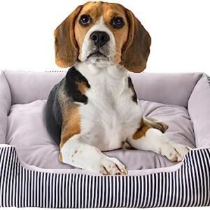 Bibykivn Dog Bed for Medium Dogs, Non-Slip, Washable, Orthopaedic Dog Bed, Raised Edges, Ergonomic Dog Sofa with Reversible Cushion for Small, Medium Dogs (70 x 52 cm, Grey)