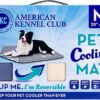 Bow Wow Pet American Kennel Club Reversible Cooling Mat, Solid, Blue, 20 x 16-Inch