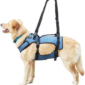 COODEO Dog Lift Harness, Support & Recovery Sling, Pet Rehabilitation Lifts Vest Adjustable Breathable Straps for Old, Disabled, Joint Injuries, Arthritis, Paralysis Dogs Walk (XXLarge)