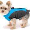 Didog Fleece Lined Warm Dog Winter Coat for Small Dogs & Cats - Reflective Cold Weather Dog Jacket Sport Vest with Zipper Closure and Leash Ring for Walking Hiking,Blue