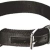 Dingo Gear Max Strong Material Dog Collar Extreme Durable Black M S04033