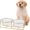 Dog Bowl Glass Feeding Bowl Dog Raised - Double Bowl Cat Feeding Bowl Dog - Dog Bowls with Golden Iron Stand - Food Water Bowl Set for Small to Medium Dogs and Large Cats - 800 ml x 2