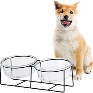 Dog Cat Bowl – Raised and Angled Dog Bowl with Stand – Medium Dog Bowl | Large Cat – Double Glass Bowl for Water and Food – 850 ml × 2