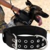 Dog Collar for Large Dogs - 5 cm Wide Collar with Handle for Extra Large Dog Breeds, Black, Soft Padded Neoprene Nylon K9 Dog Collar for Large Dogs Big Dog Collar 56-66 cm
