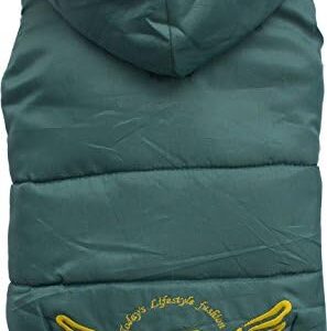 Doggy Dolly BD085 Big Hooded Dog Coat for Large Dogs Wing (Green)