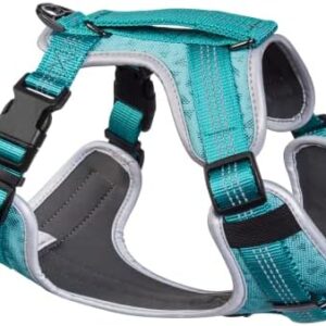 Embark Sports Dog Harness, Light and Breathable Design - Easy On and Off, No Pull Training, Size Adjustable, Non Choke with Handle for Control (Large, Teal)