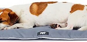 Ferplast Dog Bed Dog Cushion Dog Bed SmallScratch-Proof Fabric Machine Washable Dog Mat Waterproof 65 x 48 x 3,5 cm.Grey