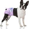 Flying Paws Disposable Female Dog Diapers, Puppy Diapers with Adjustable Elastic Waistline for Female Dog or Cat in Heat, Incontinence，Diaper with Wetness Indicator.… (M-40 Count)