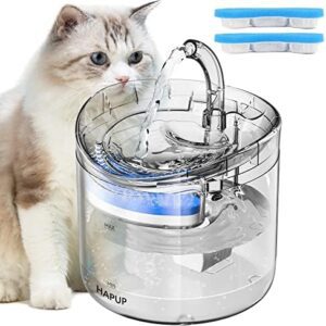 HAPUP Cat Water Fountain Animal Water Dispenser 61OZ/1.8L Automatic Pet Drinking Fountain Clear Upgrade with 2 Filter Replacement 1 Adjustable Silent 1 Water Pump for Cats Kitty Indoor