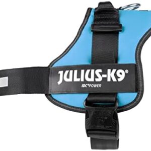 Julius-K9 162AM-3 K9 PowerHarness for Dogs, Size 3, Aquamarine