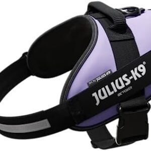 Julius-K9, 16IDC-PR-2, IDC Powerharness, dog harness, Size: 2, Purple