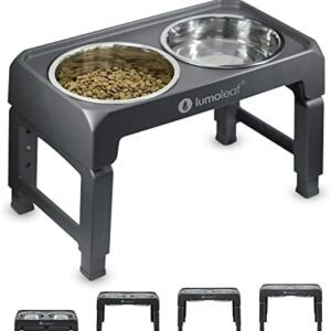 LumoLeaf Raised Dog Bowl with 4 Height-Adjustable Stands, 2 x 1.3 L Feeding Bowl and Water Bowl Made of Stainless Steel, Non-Slip Feeding Station, High Feeding Bowl for Large, Medium, Small Dogs
