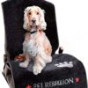 PET REBELLION Dog Car Seat Cover | Universal, Absorbent, Non-Slip, Scratch Proof, Washable Travel Pet Car Seat Protector for Front and Back Seat