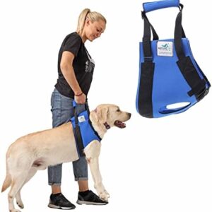 Pfaff Medical Dog Carrier/Lifting Front Harness for Elderly or Injured Dogs (Extra Large)