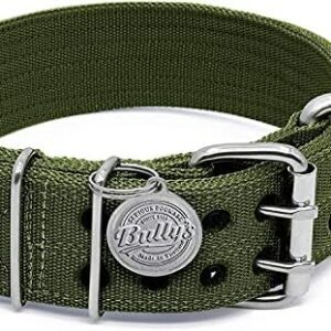 Pitbull Collar, Dog Collar Large Dogs, Heavy Duty Nylon, Stainless Steel Hardware (Large, Army Green)