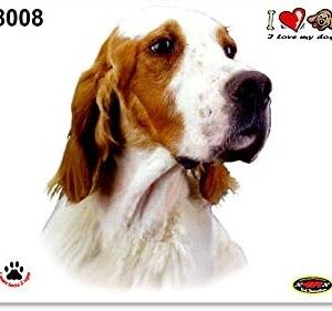 Quattroerre Sticker Setter Dog, 14 x 16 cm