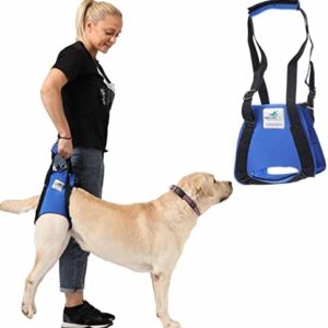 Rear Dog Carrying Aid - Ideal for Older, Sick or Operated Dogs - This Stair Aid for Dogs is Optimally Adjustable to Your Height - Dog Carrier Strap from Germany (L Blue)