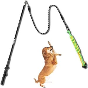 TEKCAM Stimulator Dog with Dog Toy Rope Dog Interactive Dog Toy Outdoor Chew Toy for Small Large Dogs