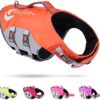 ThinkPet Dog Life Jacket Adjustable Life Jacket Reflective Lifesaver with Buoyancy