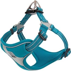 TRUE LOVE Dog Harness Safety Vest Step-in Style Reflective Adjustable Comfortable TLH5991(Blue,L)