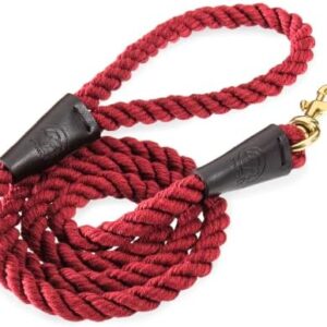 Embark Pets Country Dog Rope Leash – Braided Cotton Leashes w/Strong Leather Finish for Small Medium and Large Breed Dogs – Heavy Duty for Training & Walking (4.5ft, Red)