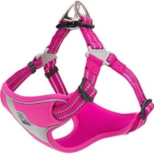 TRUE LOVE Dog Harness Safety Vest Step-in Style Reflective Adjustable Comfortable TLH5991(Fushcia,L)