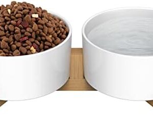 AirCover Ceramic Bowl with Raised Bamboo Stand for Dogs and Cats, can be Used as a Feeding Bowl or Water Bowl, cat Feeding Bowl, cat Bowl Set, Non-Slip, Dishwasher Safe (2 x - 800 ml, White)