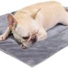 BT Bear Dog Bed Washable Dog Mattress Comfortable Dog Cushion Warm Dog Mat Puppy Mat Pad Blanket Dog Cat Bed Linen (S, Grey)