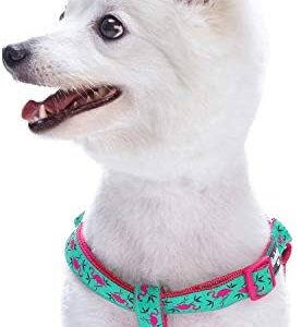Blueberry Pet Step-in Pink Flamingo on Light Emerald Dog Harness, Chest Girth 51cm-66cm, Medium, Adjustable Harnesses for Dogs