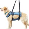 COODEO Dog Lift Harness, Support & Recovery Sling, Pet Rehabilitation Lifts Vest Adjustable Breathable Straps for Old, Disabled, Joint Injuries, Arthritis, Paralysis Dogs Walk (Small)