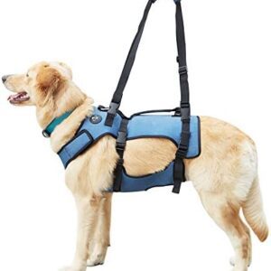 COODEO Dog Lift Harness, Support & Recovery Sling, Pet Rehabilitation Lifts Vest Adjustable Breathable Straps for Old, Disabled, Joint Injuries, Arthritis, Paralysis Dogs Walk (Small)