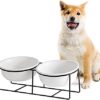 Ceramic Dog Bowls - Elevated Cat Dog Bowls Set with Metal Stand for Water and Food - Double Raised and Tilted Pet Dish for Medium Dogs and Large Cats - Microwave and Dishwasher Safe - 28.7 oz × 2