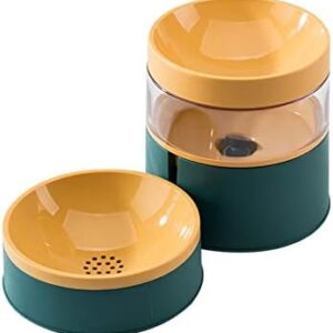 Creperture 2 in 1 Pet Automatic Feeding Station and Water Set, Removable Automatic Feeder for Dogs Cats Double Layer Food Water Dispenser for Small Medium Pets, Green