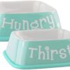 DII Bone Dry Hungry/Thirsty Square Ceramic Pet Bowl For Food & Water With Non-Skid Silicone Rim for Dogs and Cats (Large - 6.75" Dia x 2"H) Set of 2 - Aqua
