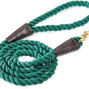 Embark Pets Country Dog Rope Leash – Braided Cotton Leashes w/ Strong Leather Finish for Small Medium and Large Breed Dogs – Heavy Duty for Training, Walking, Hiking (4.5 FT, Forest Green)