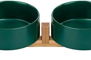 Feeding Bowl for Cats and Dogs 800 ml Ceramic Dog Bowl with Stand Double Future Bowl & Water Bowl for Small Dogs 2 Green