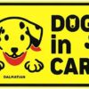 General Sticker Dog in CAR/Dalmatian 02 Sticker PET-061
