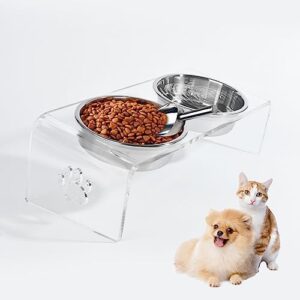 Giznzg Cat Bowl, Dog Bowl, Raised Feeding Bowls for Cats and Small Dogs, 15° Tilted Feeding Station, with Acrylic Holder, Two Stainless Steel Bowls and One Stainless Steel Spoon