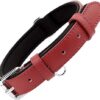 Grand Line Adjustable Dog Collar of Neoprene Padded PU Leather Available in 4 Sizes & 3 Colors for Small Medium Large Dogs (M, Red)