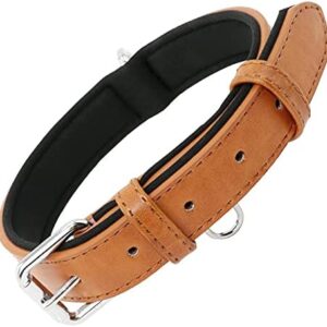 Grand Line Dog Collar Adjustable Neoprene Padded Leather Available in 4 Sizes & 1 Color, Brown