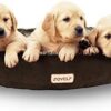 JOYELF Orthopedic Dog Bed with Washable Cover Pirate Ship Dog Bed for Small to Medium Dogs and Squeaker Toys as Gift