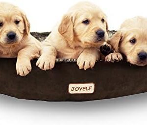 JOYELF Orthopedic Dog Bed with Washable Cover Pirate Ship Dog Bed for Small to Medium Dogs and Squeaker Toys as Gift